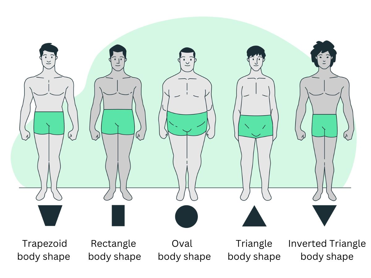 men body types