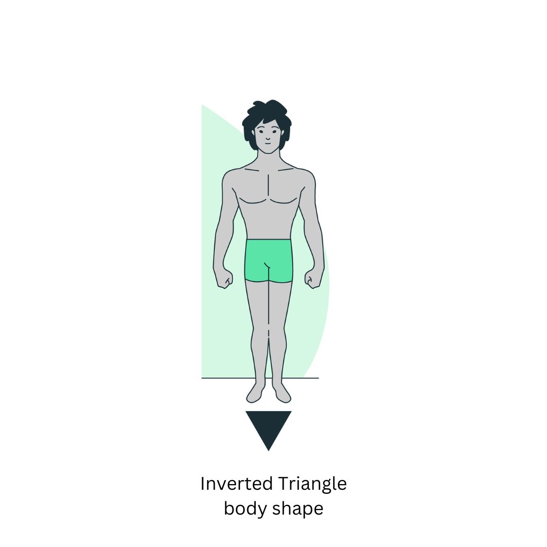 Body Shapes Explained - V shape (Inverted Triangle)  Body shape  calculator, Types of body shapes, Inverted triangle body